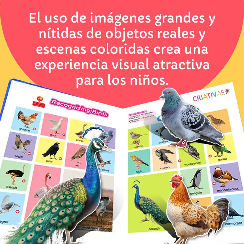 Libro de Sonidos - Mis Primeras Palabras en Inglés 300+ palabras, 13 temas y botones de sonido interactivos | CRIATIVAE